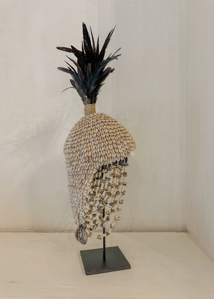 Tooi Raja – ca. 60 cm – Indonesië
