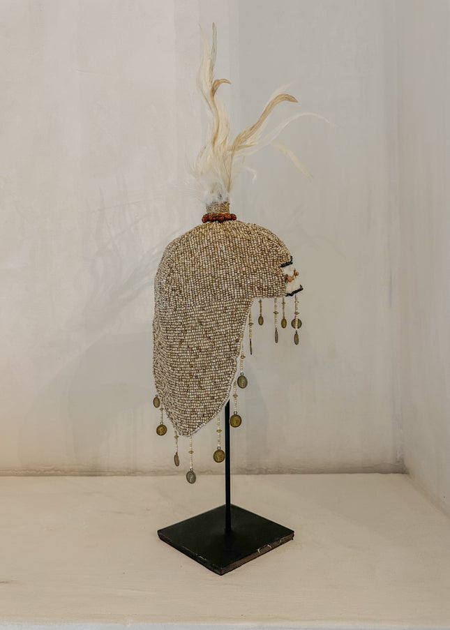 Tooi Lani – ca. 60 cm – Indonesië