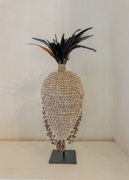 Tooi Raja – ca. 60 cm – Indonesië