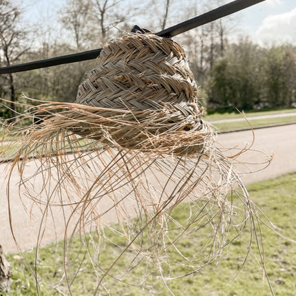 Collection image for: Zomercollectie