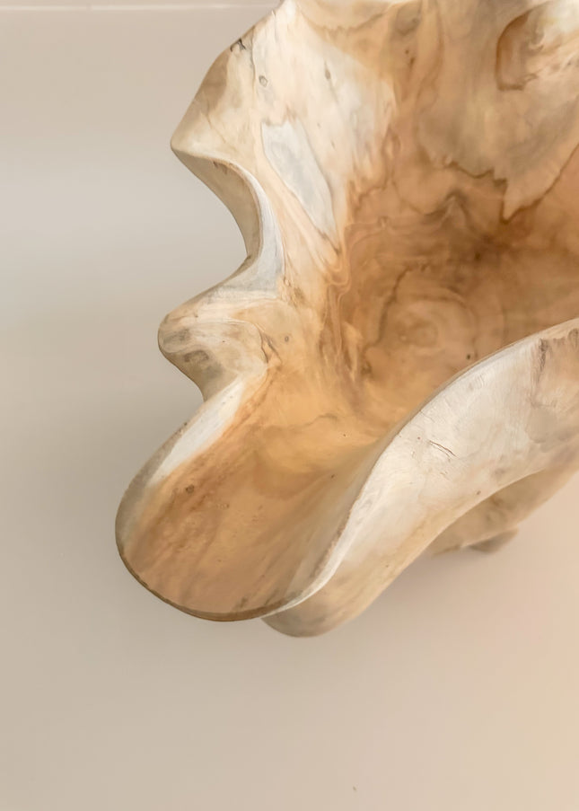 Organische Houten Schaal