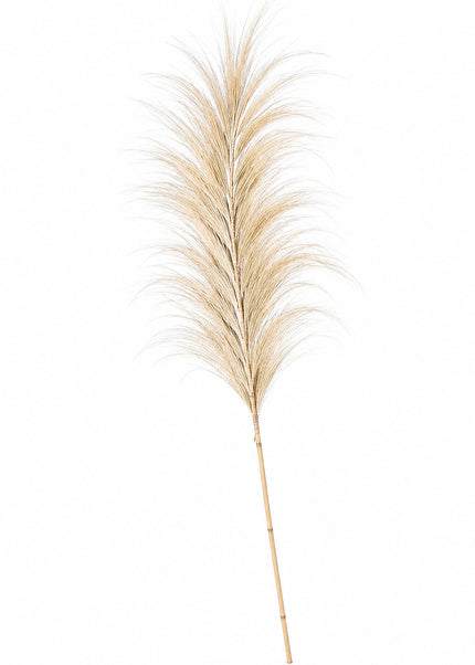 Rayon Grass | Light