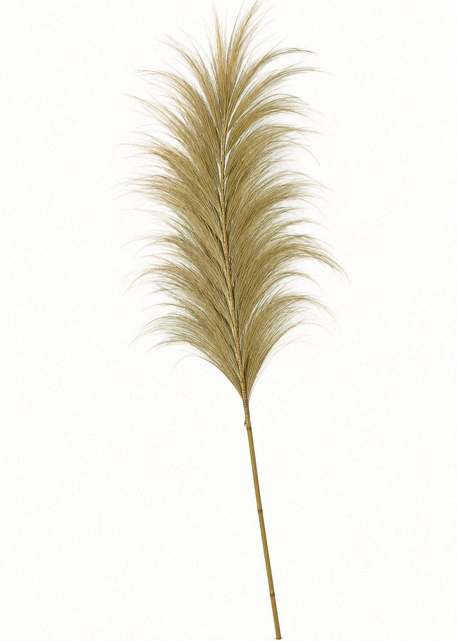 Rayongras | Natur