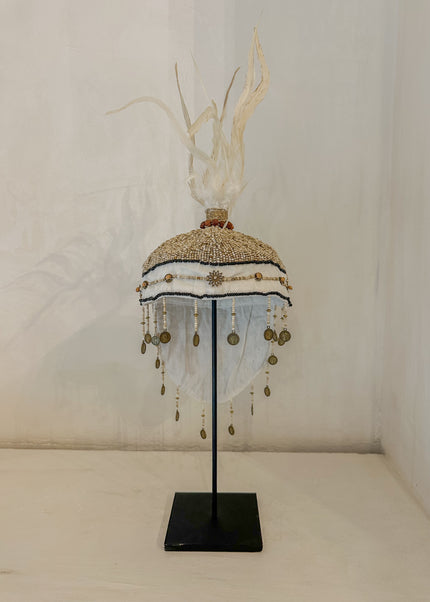 Tooi Lani – ca. 60 cm – Indonesië