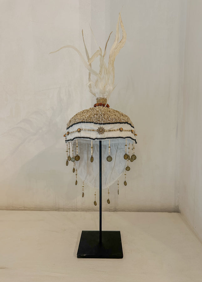 Tooi Lani – ca. 60 cm – Indonesië