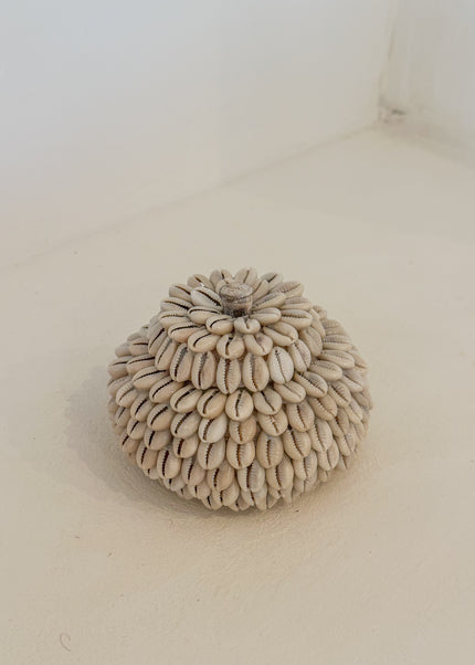Moyo Shell Pot – houten pot met kauri schelpen