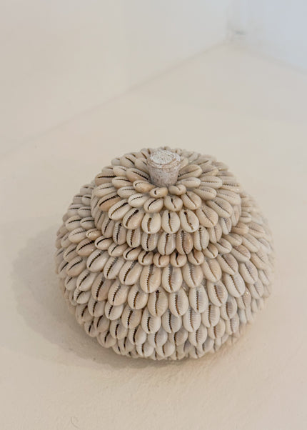 Moyo Shell Pot – houten pot met kauri schelpen