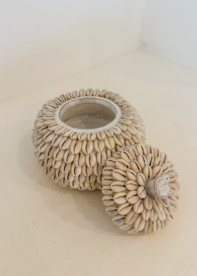 Moyo Shell Pot – houten pot met kauri schelpen