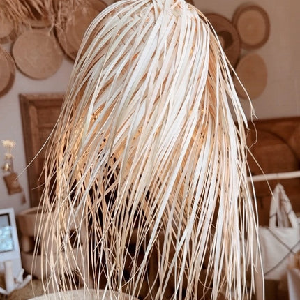 Collection image for: Zomercollectie