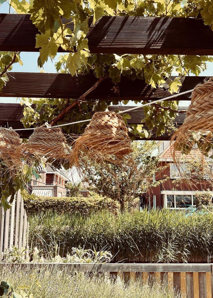 Lichtslinger | Lampion