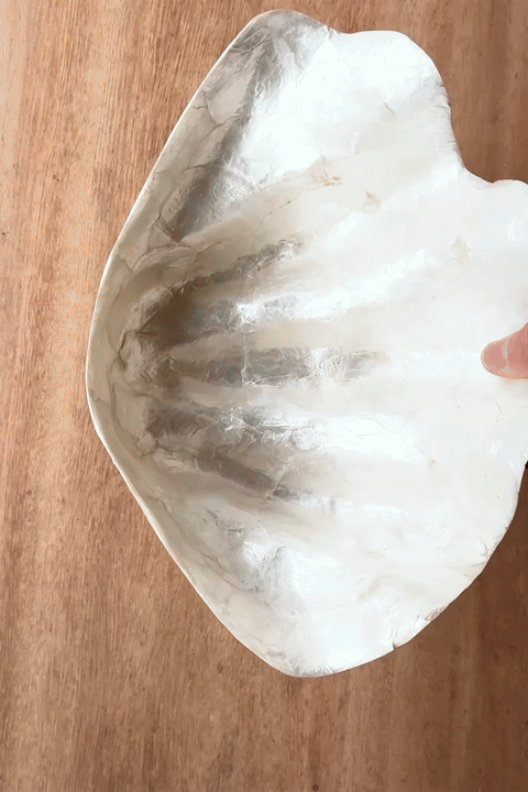 Schelp schaal | Capiz